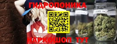 метадон Новодвинск